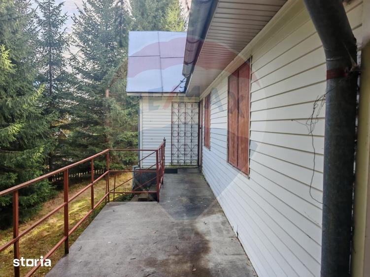 Cabana de vanzare in Muntele Bai?orii Zona Jera - 15
