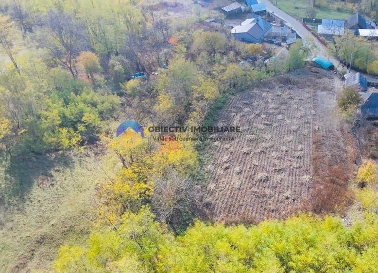Teren intravilan de 11766 mp, în Costișa
