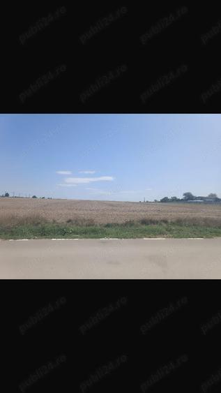 Teren de 6288 mp, în Domnești