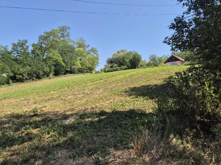 Casă cu 3 camere în Răzoare