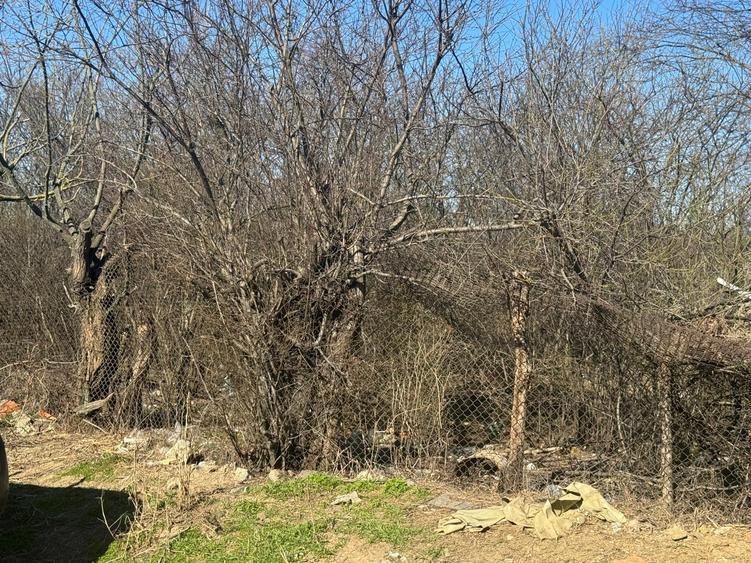 Teren Construcții intravilan de 1800 mp, în Piteasca