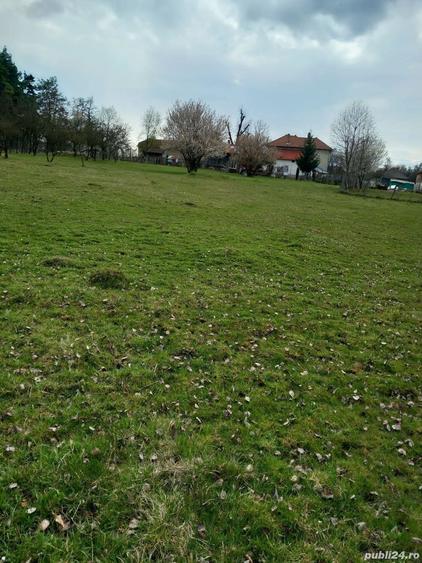 Teren de 4200 mp, în Central