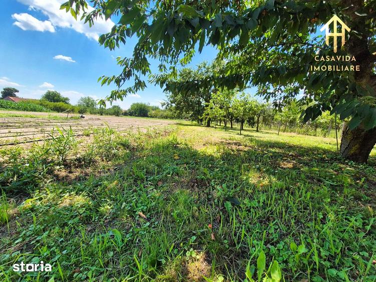 Casă cu 5 camere cu Teren 4400 Mp în Boldur