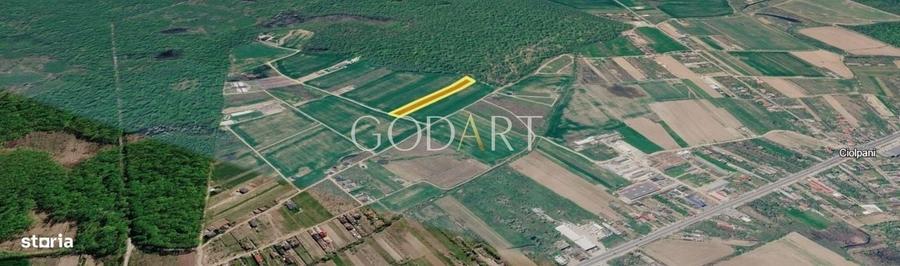 Spațiu comercial, în Ciolpani