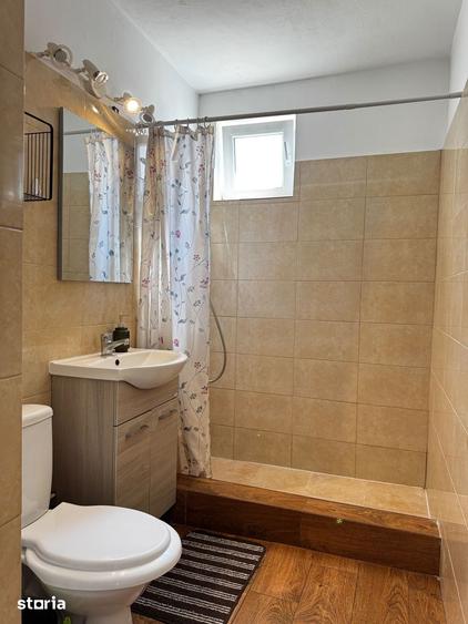 Apartament cu 2 camere de inchiriat Zona Centrala - 4