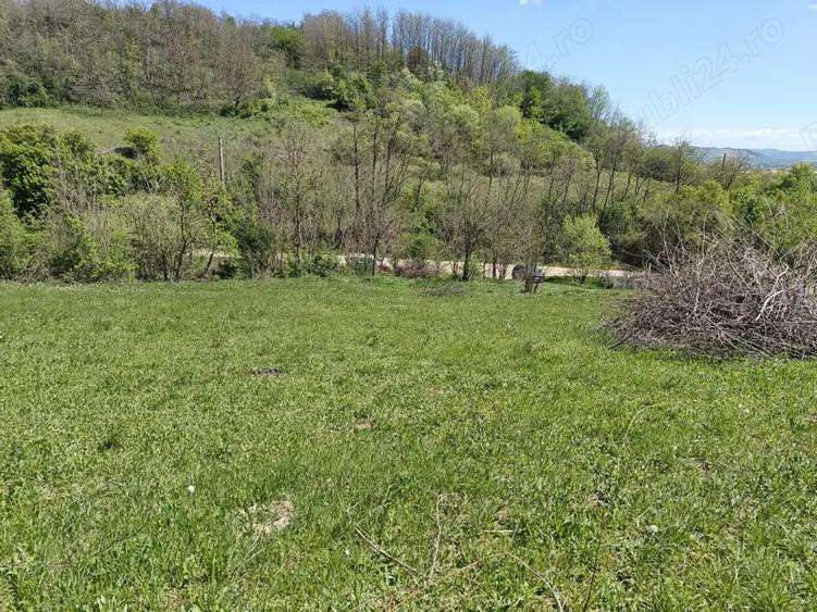 Teren intravilan 1400 m2 in Curteni, Santana de Mure? - la doar 10 minute de centrul Targu Mures - 5