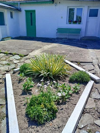 Casă cu 3 camere în Ciortea