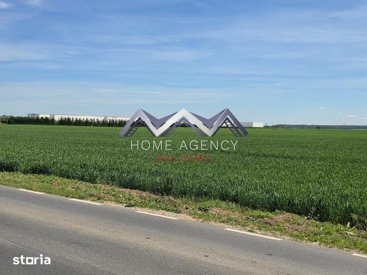 Teren 33.211 mp Tunari ideal logistica, showroom sau produc?ie - 2