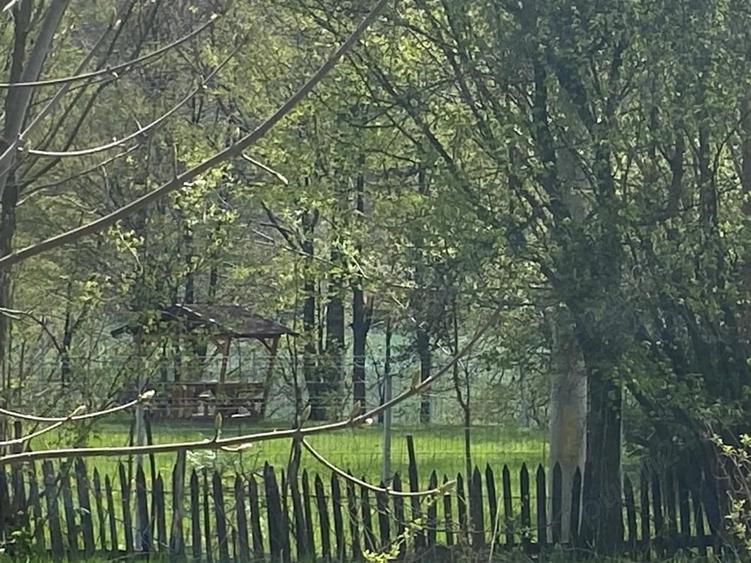 Teren de 1220 mp, în Teșila