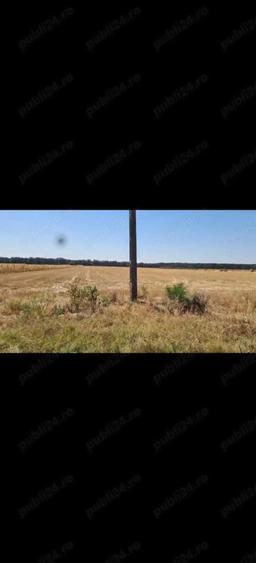 Teren de 7600 mp, în Cârligei