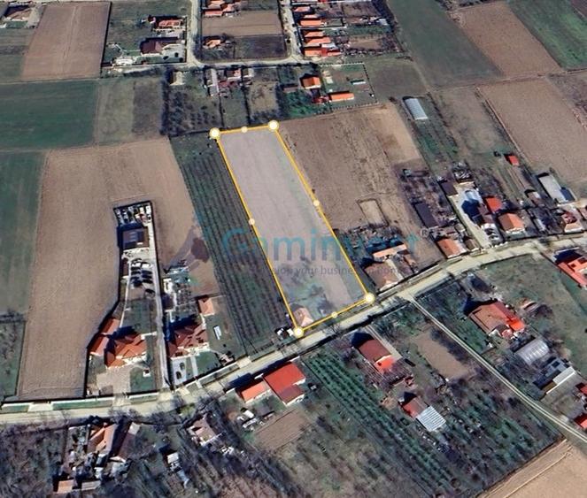 Teren Construcții intravilan de 5064 mp, în Leș