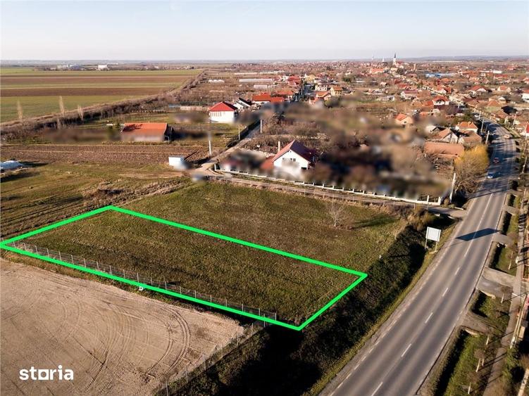 Teren de 1000 mp, în Biharia