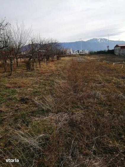 Teren de 934 mp, în Central