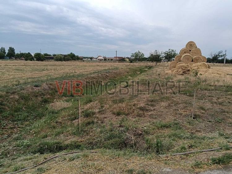 Spațiu comercial, de 6,300 mp, în Salonta