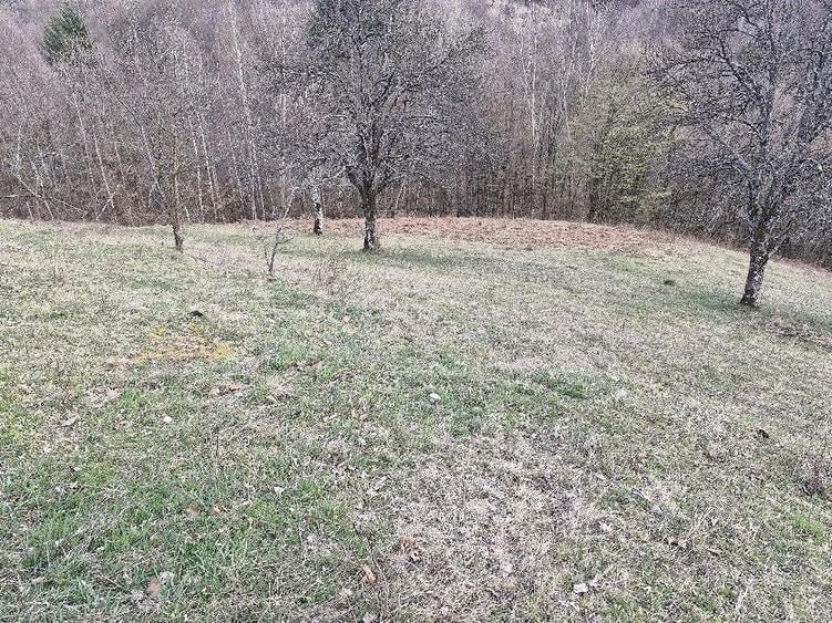 casa de vanzare - 4