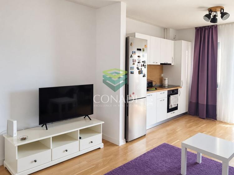 Apartament cu 2 camere semidecomandat, mobilat în Domenii