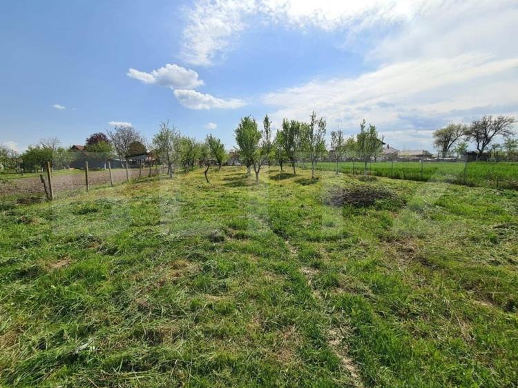 Teren Construcții intravilan de 1500 mp, în Cionchești