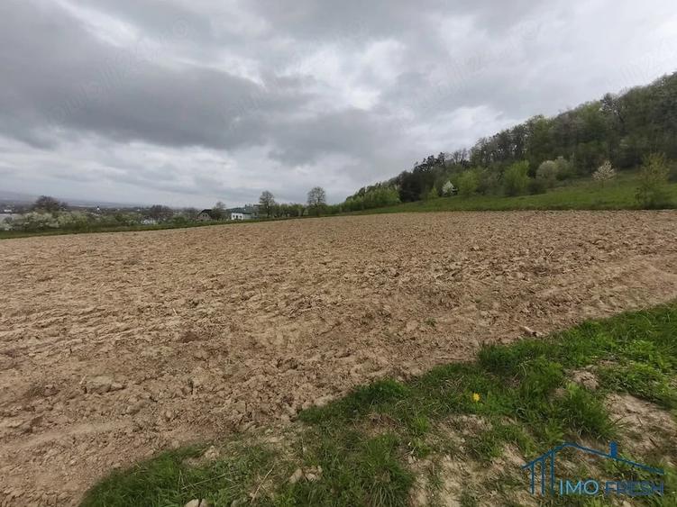 Teren de 8300 mp, în Măriței