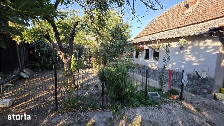 Casa Pustinis 2 camere - 5