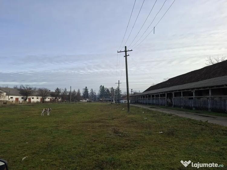 De vanzare 1 ha teren intravilan cu 2 grajduri acoperite cu tigla - 3