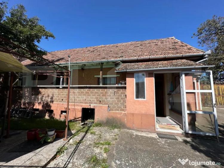 Casa saseasca de vanzare, curte, gradina, teren 3000 mp - Ji - 18