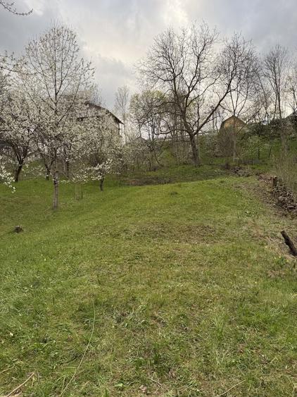 Teren de vanzare Traisteni, Valea Doftanei! - 2