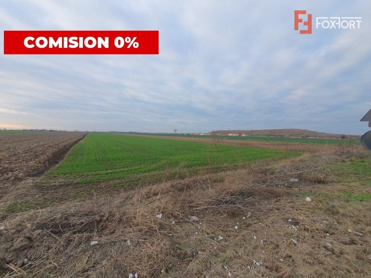Teren agricol extravilan de 213257 mp, în Sud