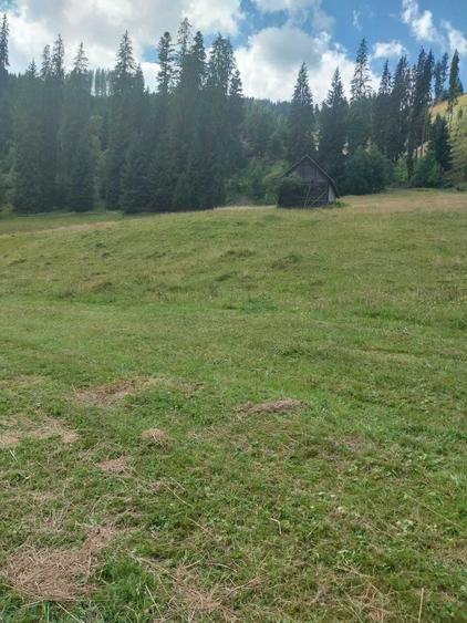 Teren 24134 mp Ciocanesti, Jud. Suceava - 1