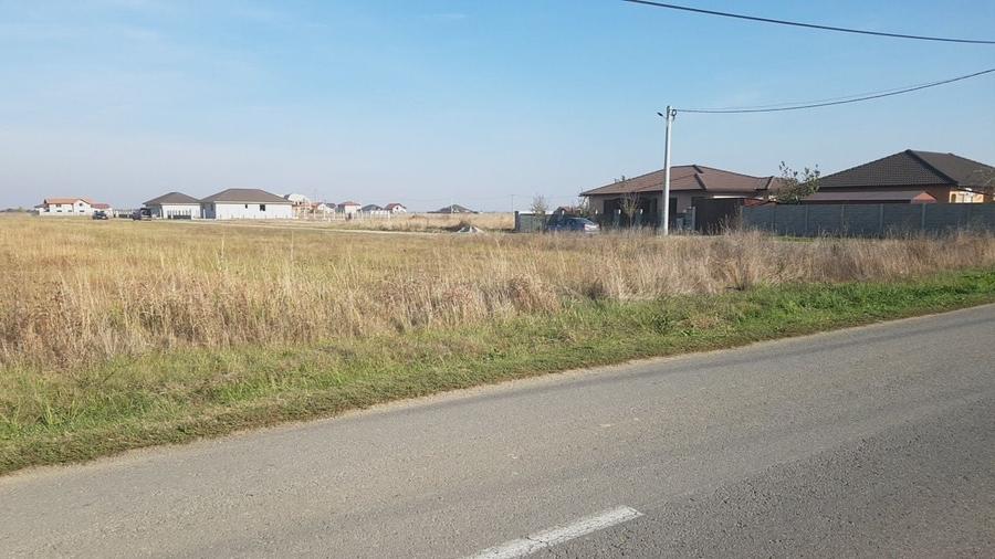 Teren de 5000 mp, în Șag