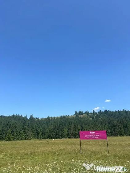 Teren de 40250 mp, în Comandău