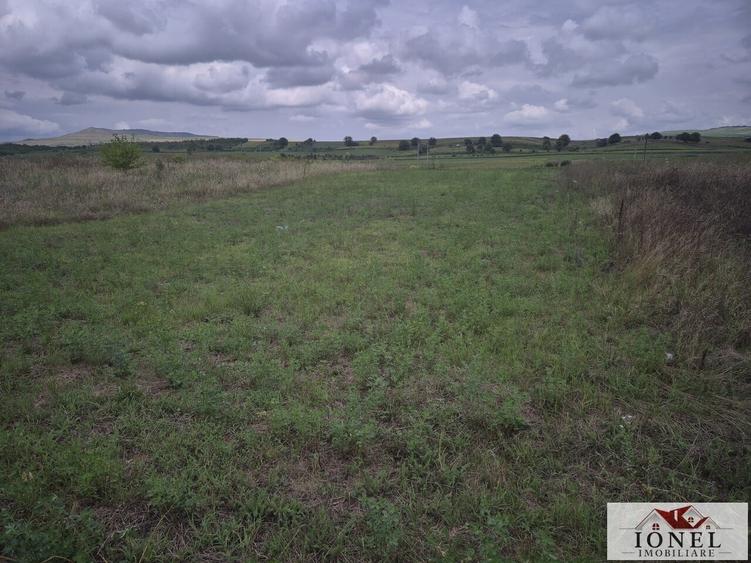 Teren Construcții intravilan de 1450 mp, în Crăciunelu de Jos