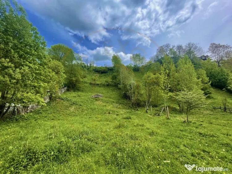 Teren de 839 mp, în Valea Doftanei
