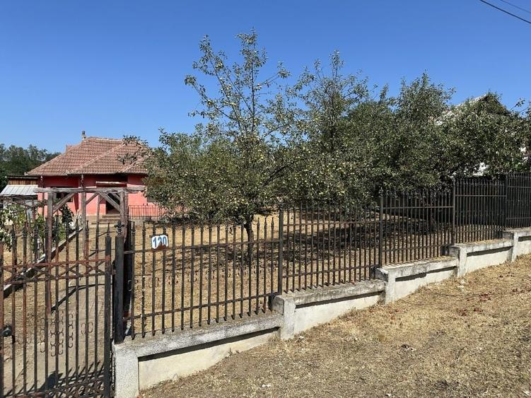 Casă individuală cu 4 camere cu Teren 1594 Mp în Steic
