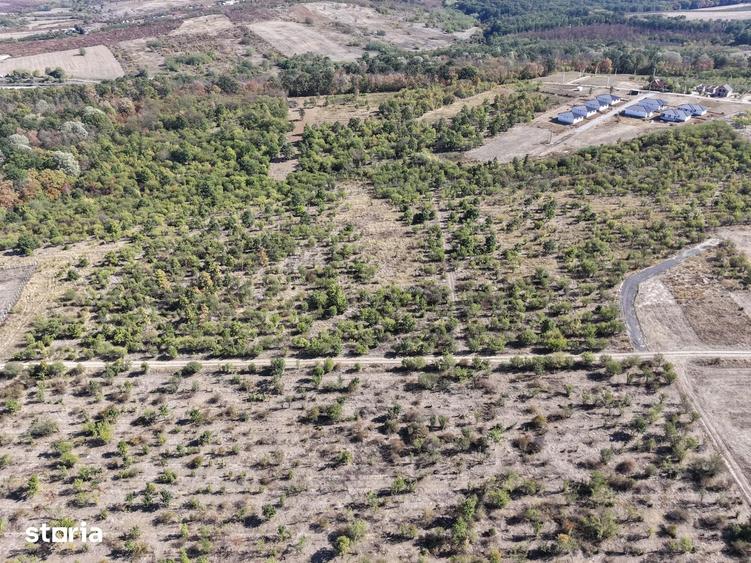 Teren de 2200 mp, în Paleu