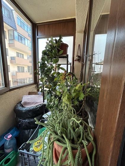Apartament cu 3 camere decomandat, mobilat în Sălaj