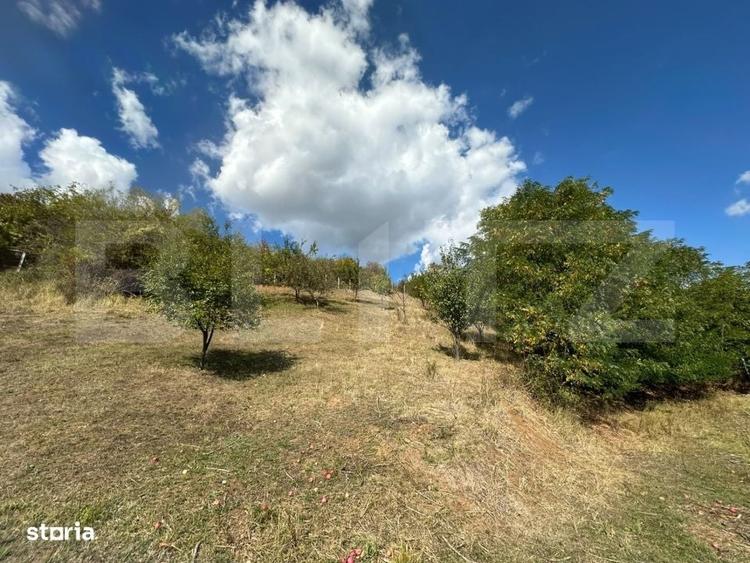 Teren intravilan 2.700 mp | Priveliste panoramica | Viisoara (Central) - 3
