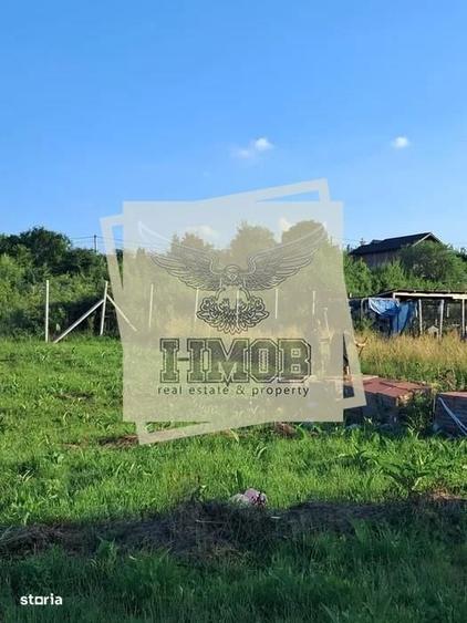 Teren intravilan Daia Noua 500 mp - 4