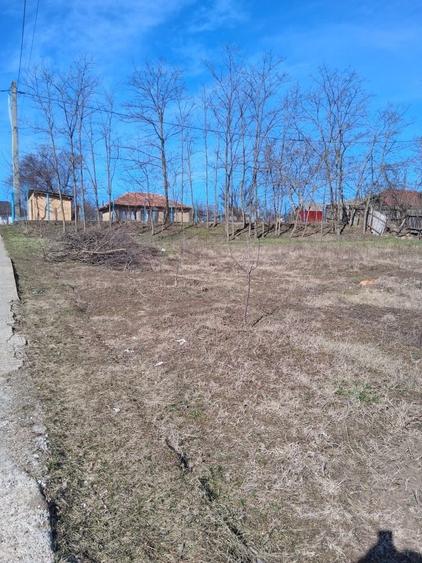 Spațiu comercial, în Muntenii de Jos