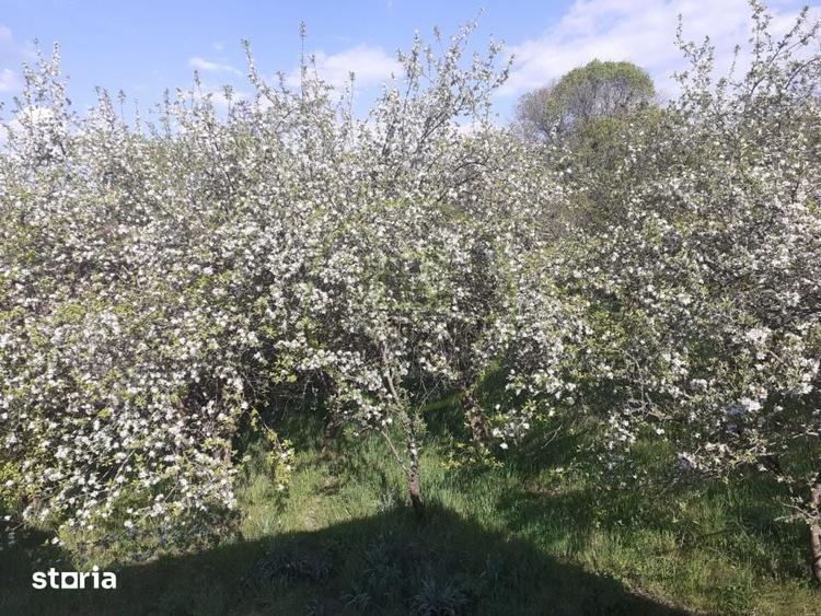 Casă cu 4 camere cu Teren 2750 Mp în Văleni
