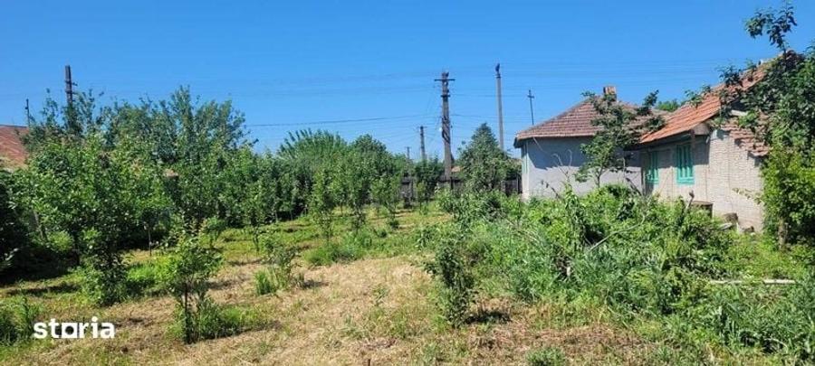 Teren de 1550 mp, în Colceag
