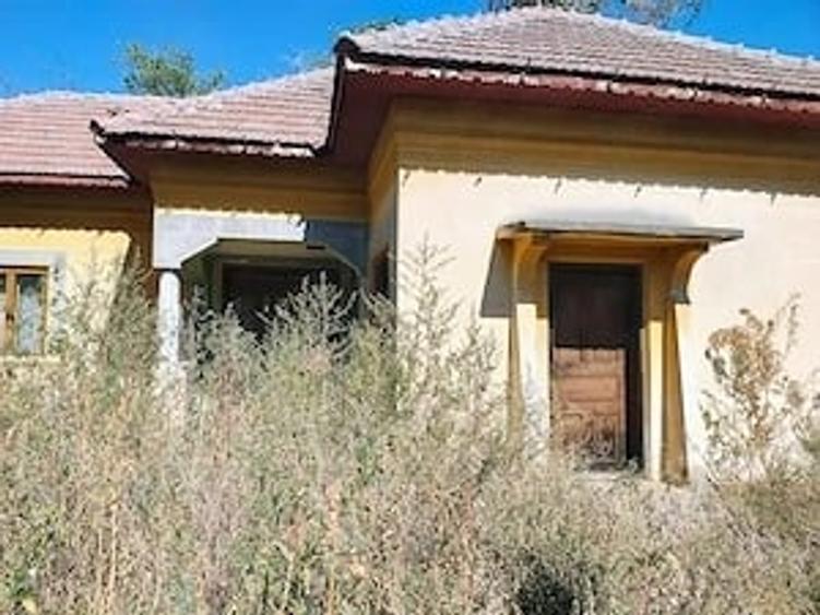 Teren de vanzare + Casa , sat Vartop, Corabia, Olt - 3