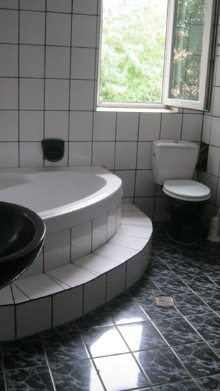 Casă individuală cu 10 camere cu Teren 500 Mp în Central