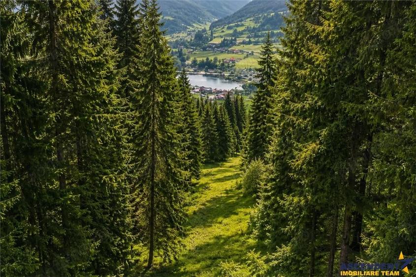 Teren de 7800 mp, în Lunca