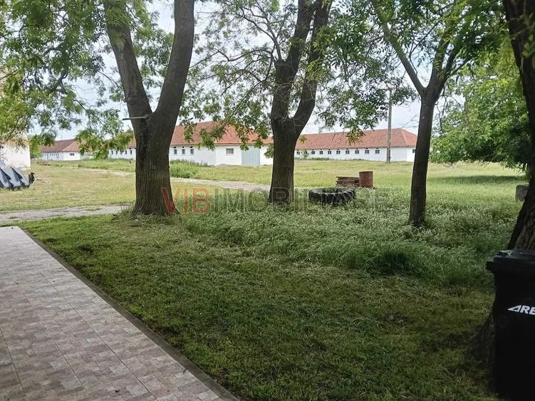 Ferma complet utilata 30 ha teren comasat cu 11.500mp grajduri renovate Timi? Comuna Biled - 17