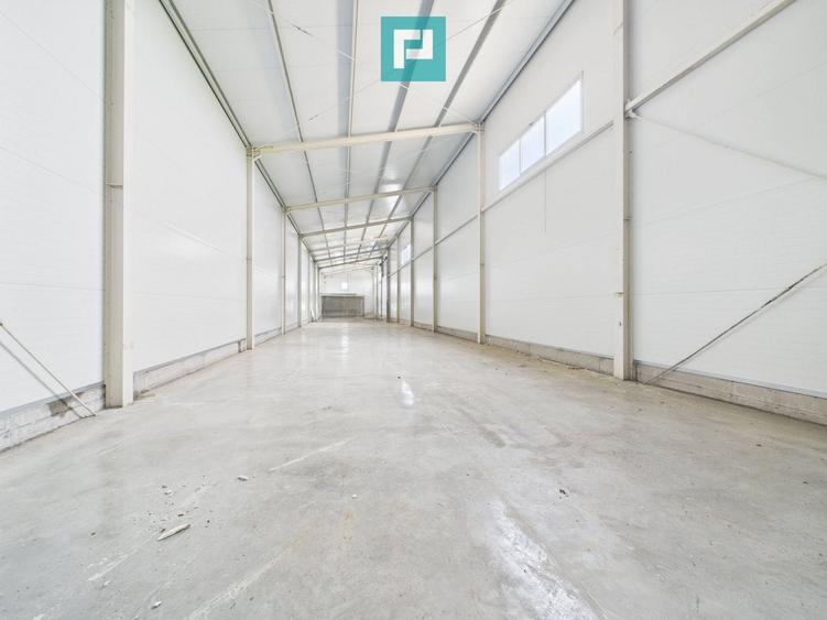 Spațiu industrial, de 563 mp, în Sânandrei