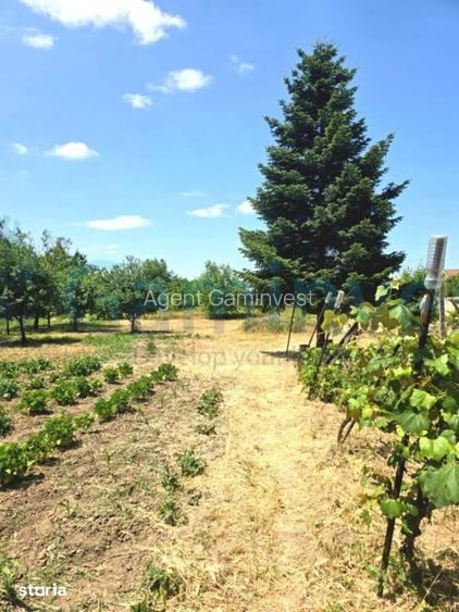 Gaminvest Casa cu teren de 1700mp,Episcopia Bihorului, Oradea,V4236A