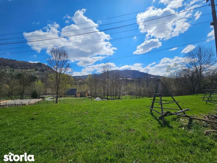 Oportunitate de Investi?ie: Teren Intravilan 2000 mp in Valea Doftanei - 3