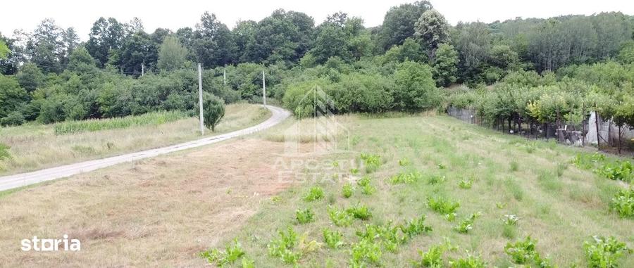 Teren de 2605 mp, în Pestișu Mic