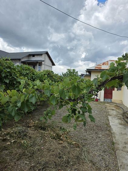 Casă cu 4 camere în Stăncești