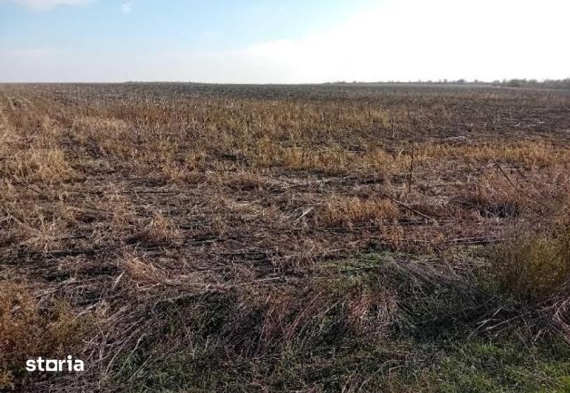 Teren de 10000 mp, în Nana